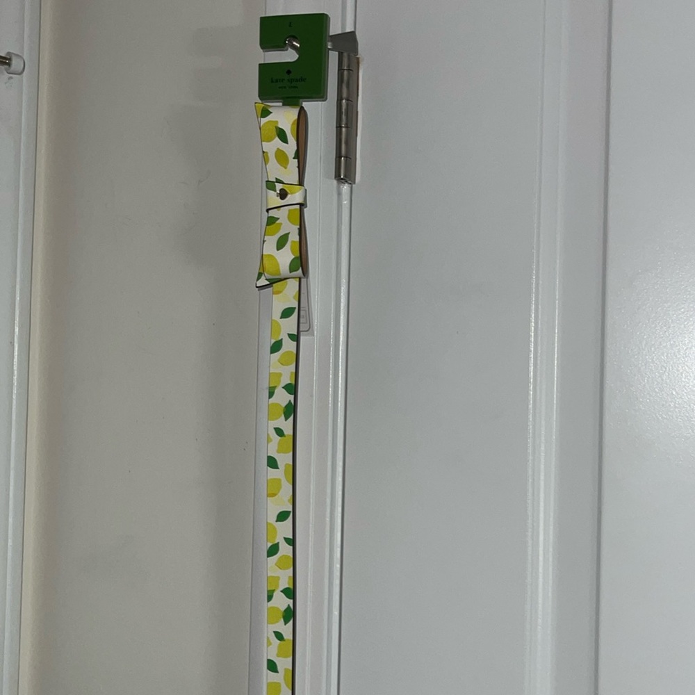 Kate Spade Large Belt